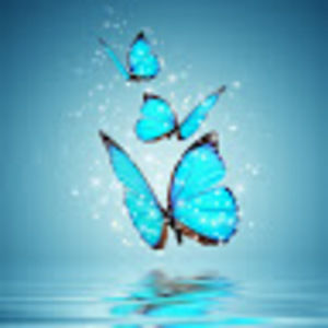 Meet your Posher, Kawa-